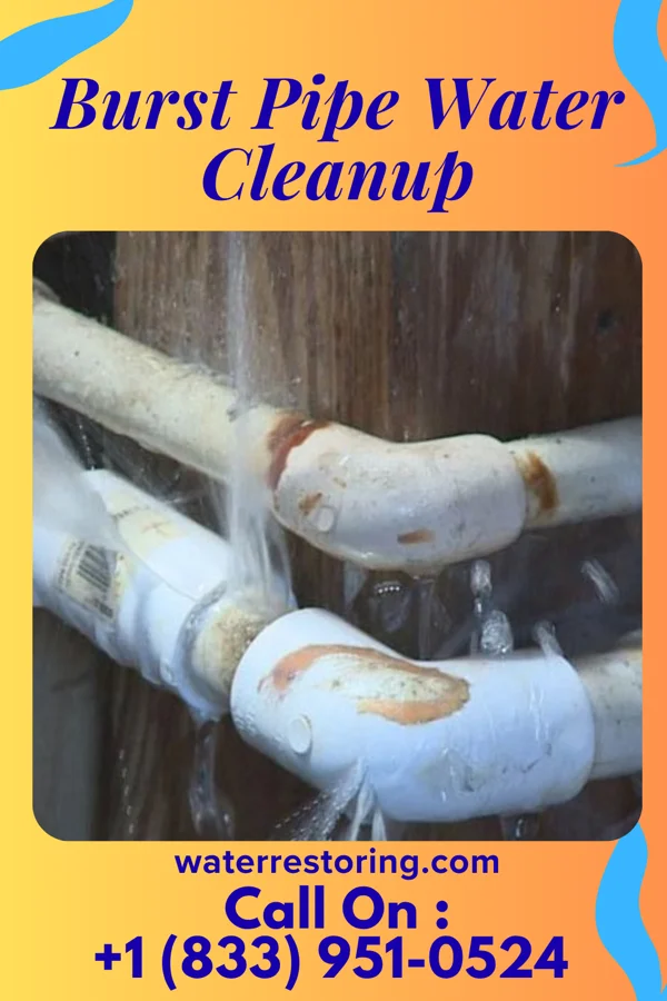 Burst Pipe Water Cleanup in Mosses, AL